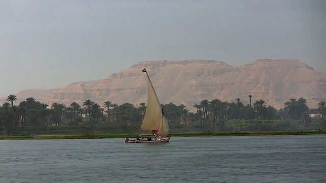 WS，尼罗河上的小帆船，埃及开罗视频素材