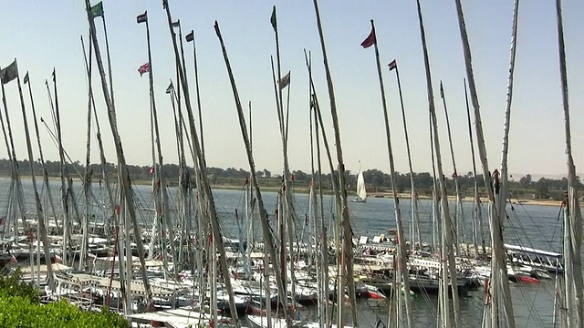 在埃及卢克索的尼罗河上停泊着CU, ZO, MS小帆船视频素材