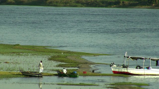 WS, ZO, PAN，埃及尼罗河上的渔民视频素材
