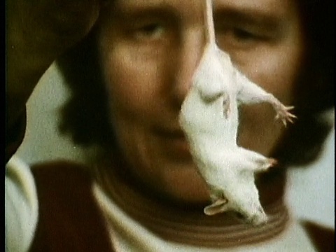 1973年，抱着老鼠尾巴的妇女，美国，音频视频素材