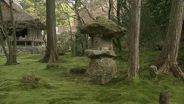 MS石灯笼在青苔覆盖的森林，三禅寺的背景，京都，日本视频素材