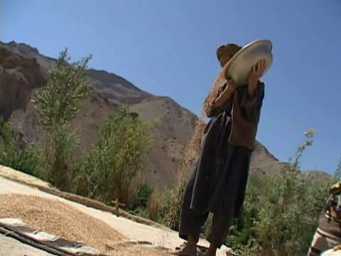 阿富汗哈扎拉贾特，巴米扬，一名男子在地上倾倒谷物视频下载