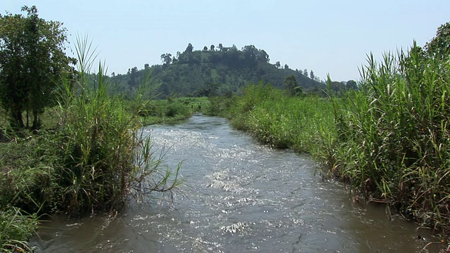 WS河和山的背景，维龙加国家公园，国家公园，刚果视频下载