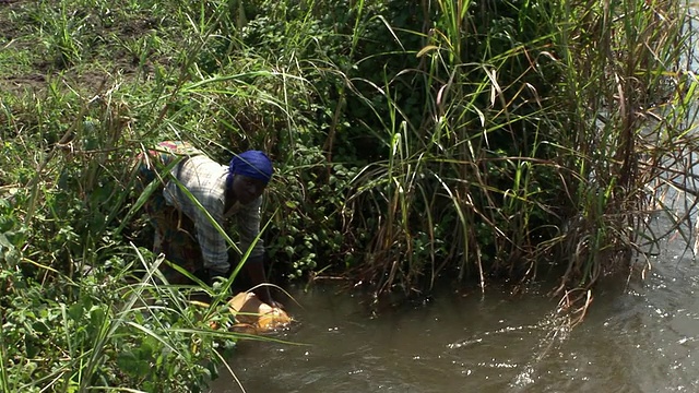 从维龙加国家公园取水，国家公园，刚果视频下载
