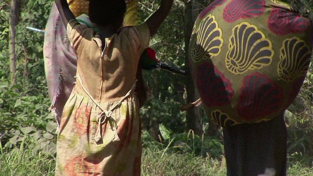 三个拎着包的女人，维龙加国家公园，刚果国家公园视频下载
