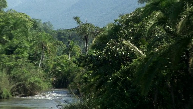 WS ZO河和植被与山脉背景，维龙加国家公园，国家公园，刚果视频下载