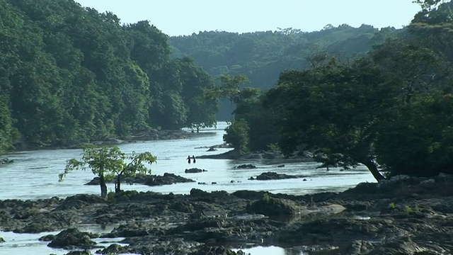 WS ZI河和植被，维龙加国家公园，刚果国家公园视频下载