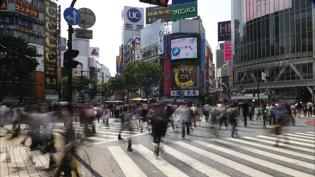 T/L WS繁忙的十字路口涩谷区，日本东京视频素材