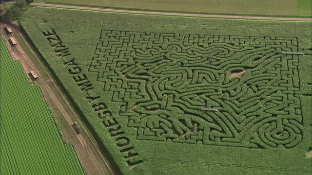 空中的Thoresby Mega Maze(由玉米制成)，Thoresby公园/诺丁汉郡，英国视频下载