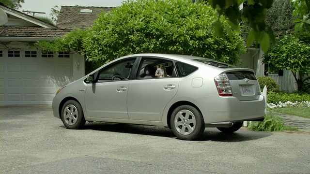母亲和女儿(8-9)走向车道上停着的汽车，Encino，加利福尼亚州，美国视频下载