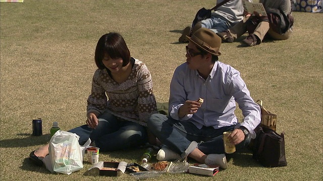 人们在公园野餐，东京，日本视频下载