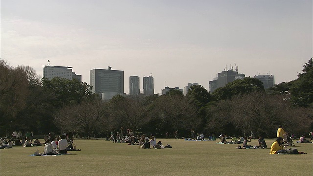 日本东京，人们在有城市天际线的公园里视频下载