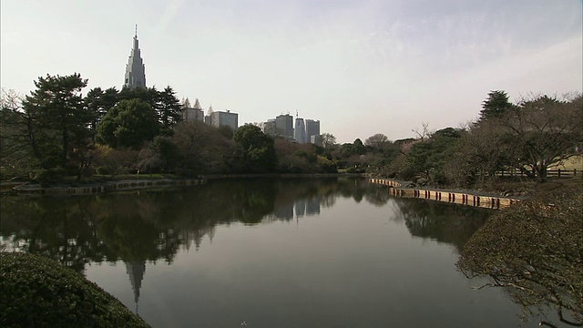 日本东京，带有城市天际线的WS公园视频下载