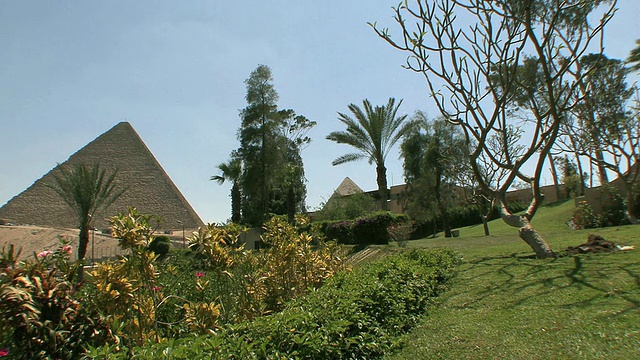 埃及开罗，以金字塔为背景的棕榈花园视频下载