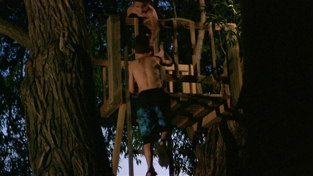 宽镜头男孩爬梯子到树屋在黄昏/朋友在顶部给他的手/长池，纽约视频下载