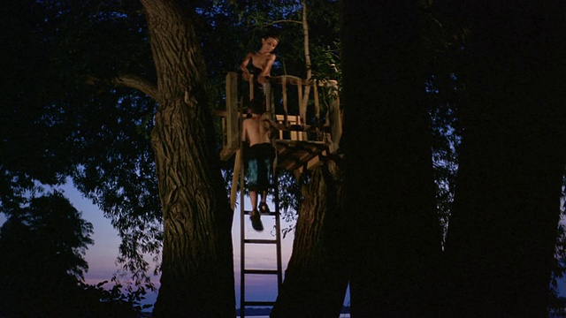黄昏时分，远射男孩爬上梯子到树屋/在顶上的朋友给了他一只手/纽约朗池视频下载