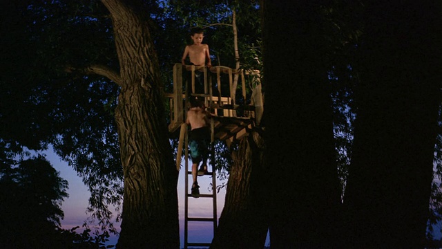 长镜头男孩从树屋爬下梯子，男孩在树屋中看着/黄昏/长池塘，纽约视频下载