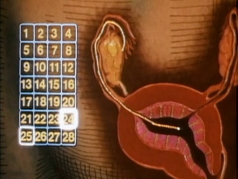 1985年动画日历计算月经周期的日子旁边的图表建模流程视频下载