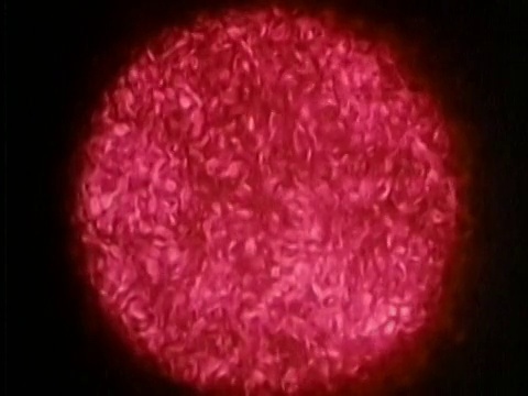 1987年合成二氧化碳符号漂浮在红色圆圈/火柴点燃视频下载