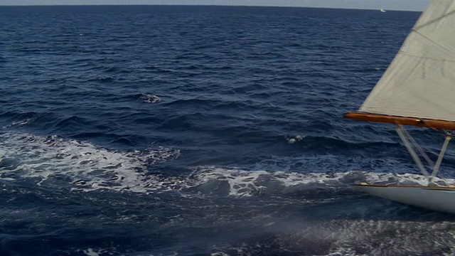 空中远射游艇在海洋上航行视频素材