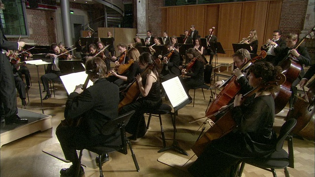英国伦敦交响乐团演奏的MS音乐家视频下载