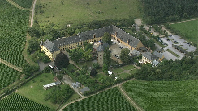 德国莱茵兰-普法尔茨，被葡萄园包围的沃洛拉德城堡视频下载