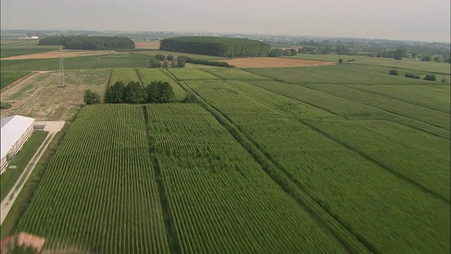 飞机从绿色降落跑道起飞，在意大利戈里齐亚格拉多附近的田野上空飞行视频素材