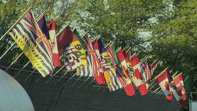 加拿大不列颠哥伦比亚省温哥华，随风飘扬的一排排国旗视频素材