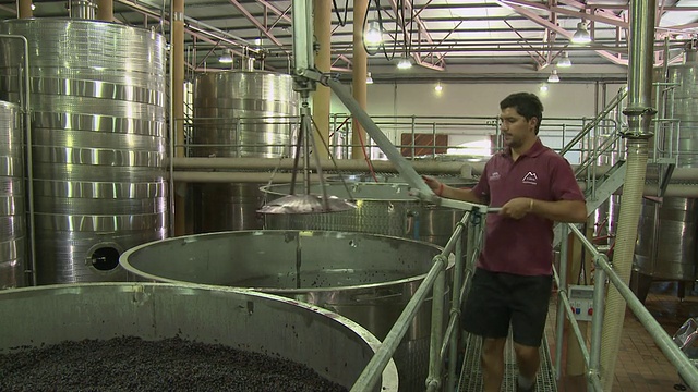 南非西开普Franschhoek，曼在葡萄发酵罐中工作视频下载
