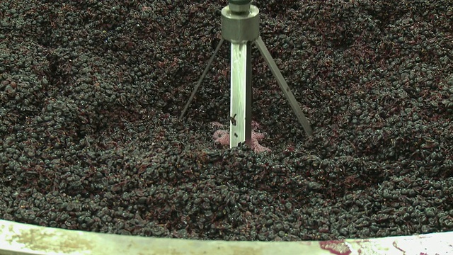 在南非西开普省Franschhoek的发酵罐中，葡萄皮被冲压视频素材