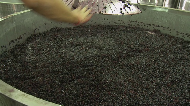 在南非西开普的Franschhoek的发酵罐中清洗皮肤视频下载