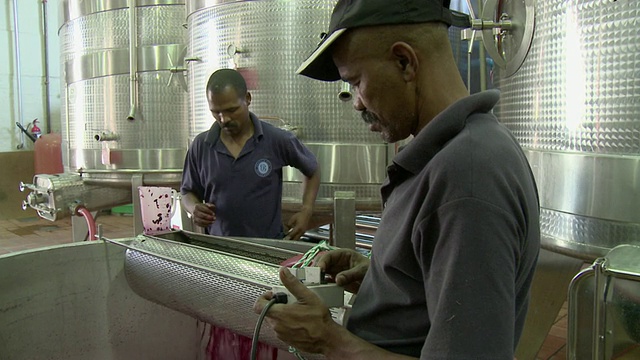 在食品加工厂工作的MS Men, Franschhoek，西开普敦，南非视频下载