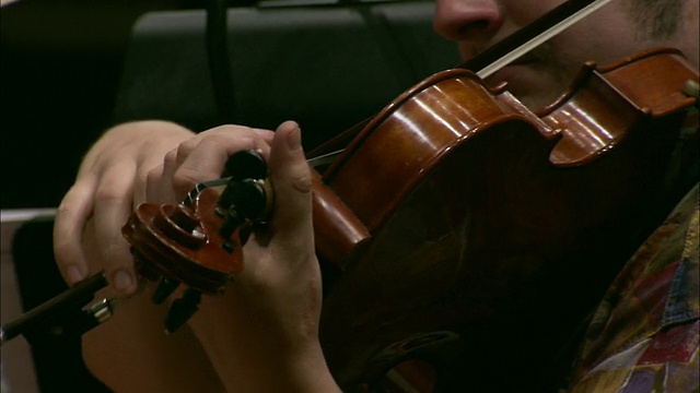 澳大利亚墨尔本，维多利亚州，小提琴手视频素材