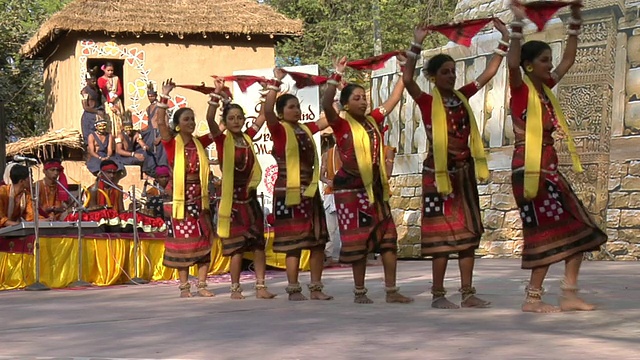 印度哈里亚纳邦法里达巴德，一群妇女在苏拉吉昆德集市上表演桑巴尔普里舞视频素材