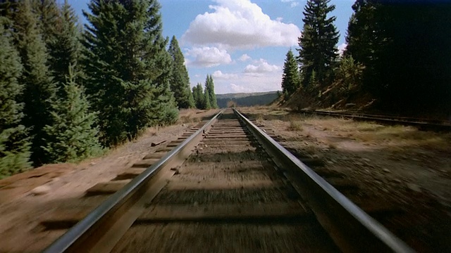 火车视角宽拍摄沿着火车轨道经过松树在乡村设置/科罗拉多州视频下载