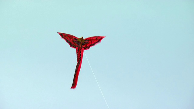 WS在空中的红色风筝/印度尼西亚的巴厘岛视频下载
