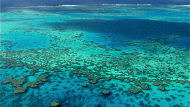 WS ZO航空珊瑚海和大堡礁，凯恩斯，昆士兰，澳大利亚视频素材