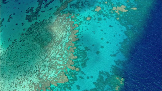 WS航空珊瑚海和大堡礁与珊瑚虫可见时，凯恩斯，昆士兰，澳大利亚视频素材