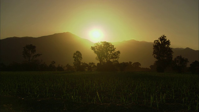 夕阳落在山脉后面，凯恩斯，昆士兰，澳大利亚视频素材