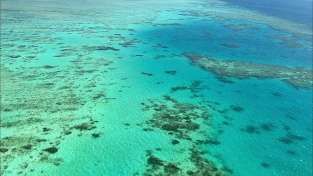 MS TD TU WS航空大堡礁，凯恩斯，昆士兰，澳大利亚视频素材