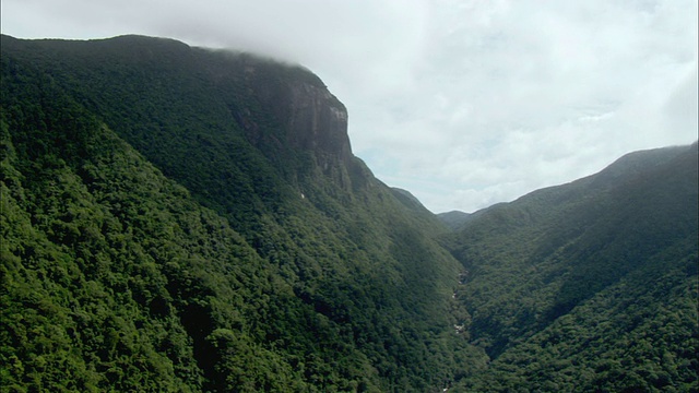 澳大利亚昆士兰凯恩斯，戴恩特里热带雨林被雾覆盖视频素材