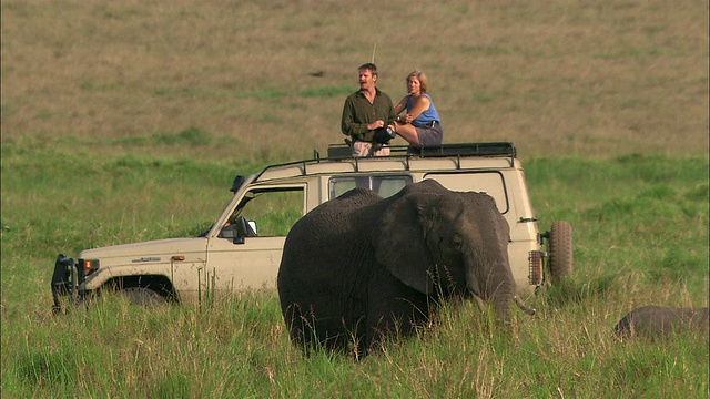 中等拍摄的一对夫妇在狩猎旅行中坐在4x4 * /人观看大象与双筒望远镜/马赛马拉，肯尼亚视频素材