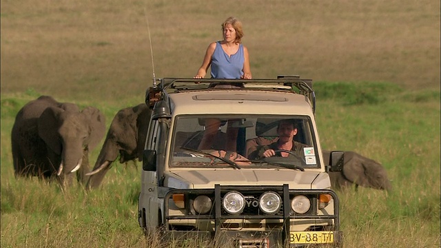 中镜头夫妇在狩猎在4X4骑通过大象和斑马群/马赛马拉，肯尼亚视频素材