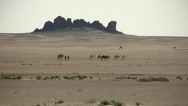 WS游牧民穿越非洲沙漠/ Zouerat, Tiris Zemmour，毛里塔尼亚视频素材