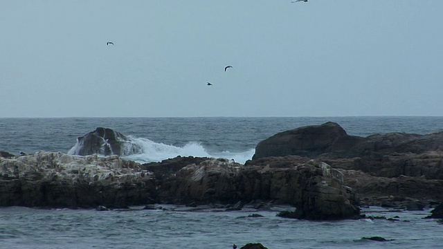 智利伊基克，海浪拍打着岩石海岸视频下载