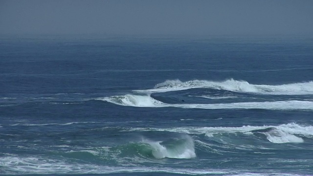 WS海浪，伊基克，智利视频下载