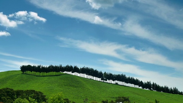 在新西兰怀卡托的帕特通加山的山脊上，云在树木上漂移的时间间隔视频下载