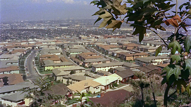 1955蒙太奇HA WS郊区房屋的屋顶/洛杉矶，美国视频素材