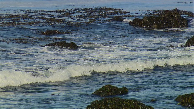 MS HA PAN太平洋海浪打破岩石海岸附近的圣西蒙，加利福尼亚州，美国视频下载