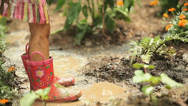美国弗吉尼亚州里士满，女孩(4-5人)在菜园的泥里跳来跳去视频素材
